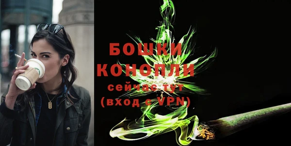 винт Абаза