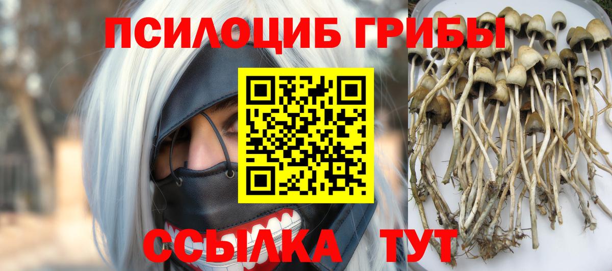 Галлюциногенные грибы прущие грибы Усть-Кут