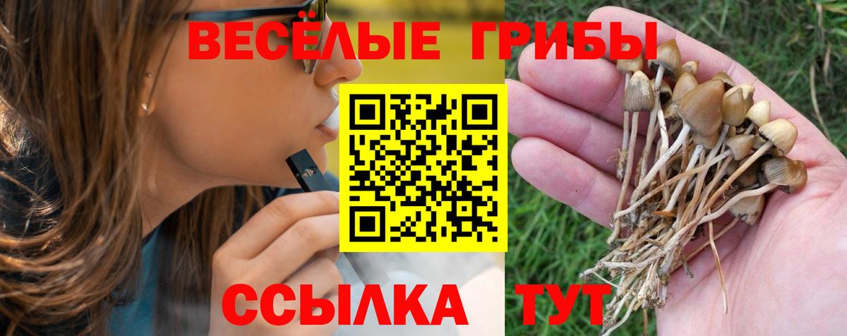 что такое   Вход с VPN  Галлюциногенные грибы Psilocybine cubensis  Усть-Кут  Псилоцибиновые грибы мицелий 